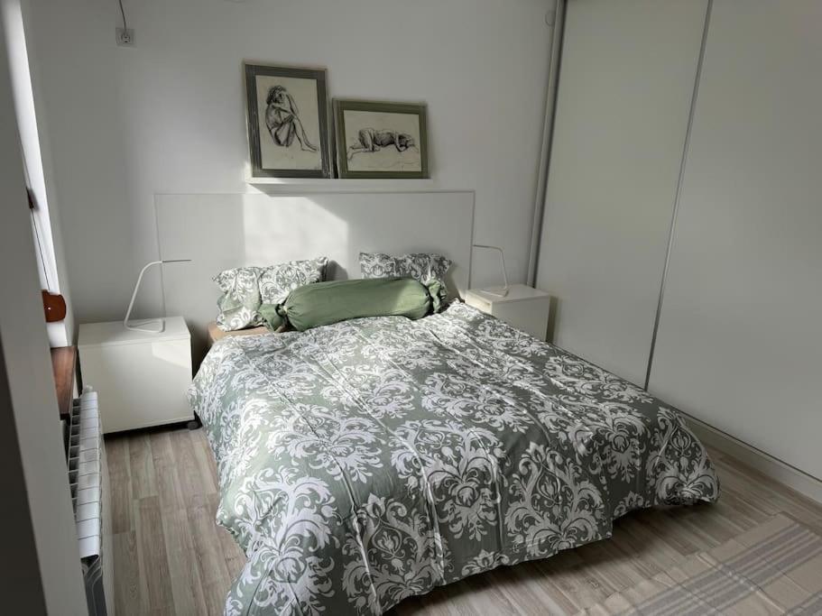 Kazanlak Large Guest House Apartment Near The Center With Full Kitchen & Dining Room, King Beds, Garden Patio, Free Parking & Self Check-In Kazanlŭk Exterior foto